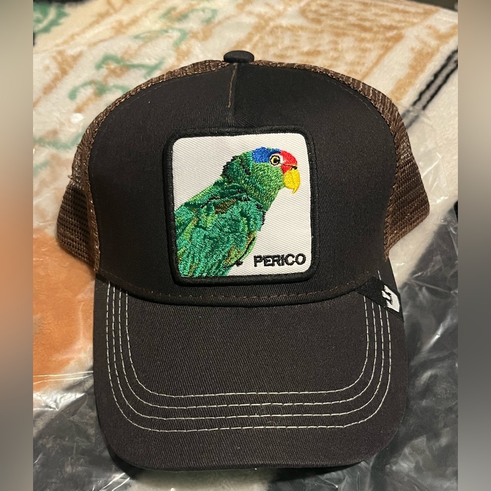 Parrot cowboy hat